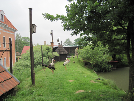 2012bartosovice4AB (14)